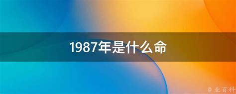 1987年是什么命|1987年出生是什么命